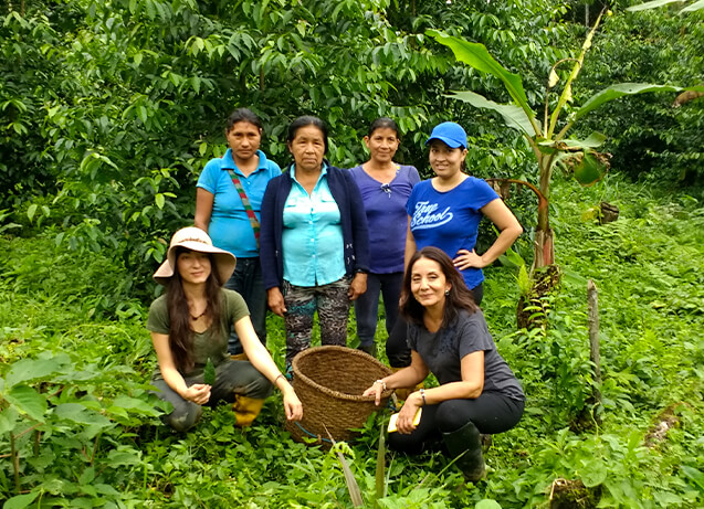 guayusa pachamama Tee Bio organisch