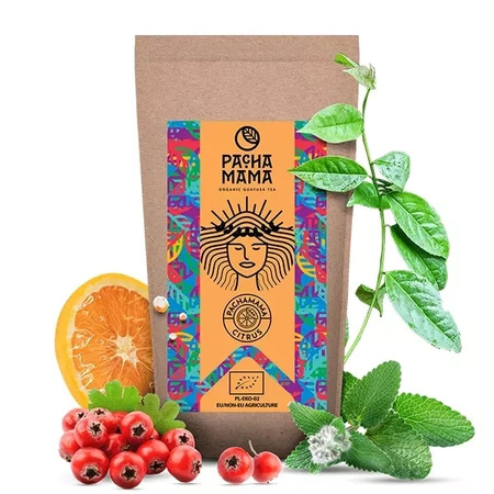 100 x Guayusa Pachamama Citrus - organic - 100g