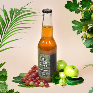 Fruit Drink Guarani - Boisson aux fruits avec maté - Mentha & Boldo 330 ml