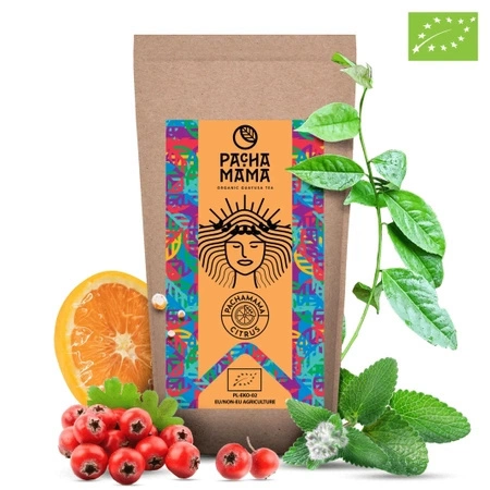 70 x Guayusa Pachamama Citrus - orgánica - 250g