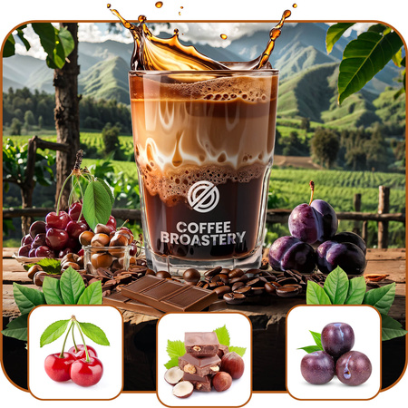 Coffe Broastery – Café en grains Costa Rica San Rafael spécialité 400 g