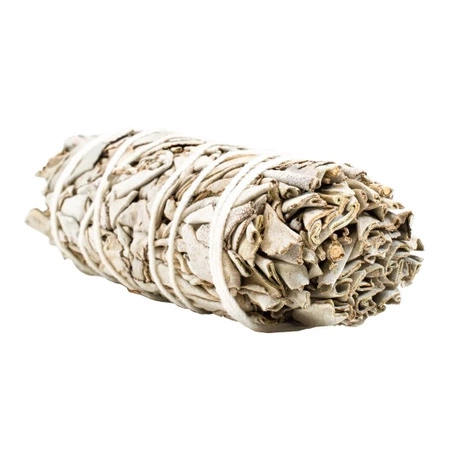 6400 x Salvia Blanca - Incienso 20-30 g (rollo)