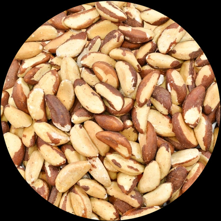 Nueces de Brasil 1 kg