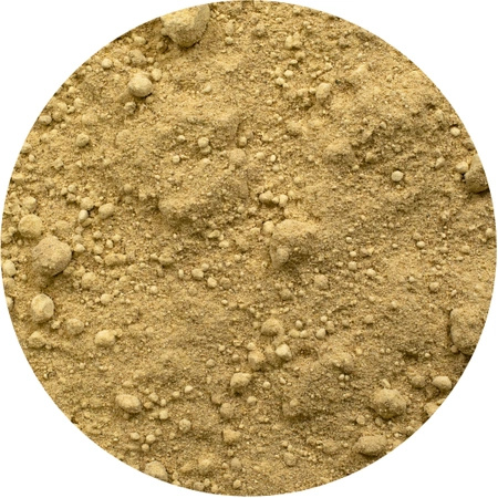 Vivarini – Gingembre (moulu) 1 kg