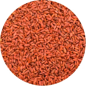 Vivarini – Baies de goji séchées – 250 g