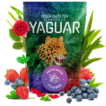 40 x Yaguar Frutas Bayas 0,5 kg