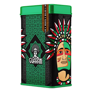 Yerba Mate Guarani Boldo Menta  0.5kg in Dose