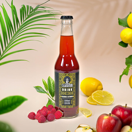 Fruit Drink Guarani Sabor Citrus 330ml