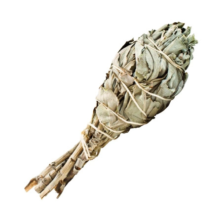 400 x White Sage - Frankincense 15-20 g (torch)