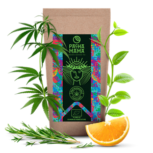 100 x Guayusa Pachamama Cannabis - organic - 100g