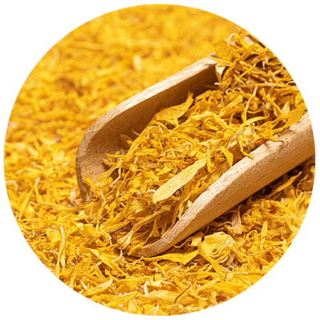 100 x Calendula 100 g - Fleur de calendula (pétales)