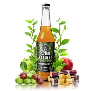 Fruit Drink Guarani - Boisson aux fruits avec maté - Mentha & Boldo 330 ml