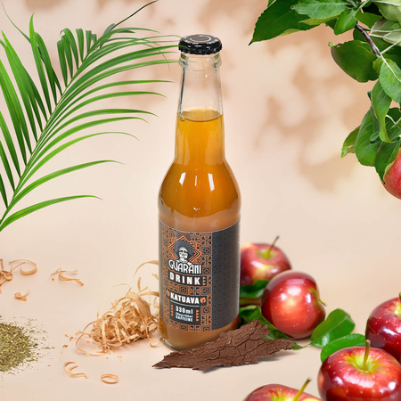 Fruit Drink Guarani - Boisson aux fruits avec maté - Katuava 330 ml